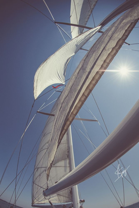 Picture of CLEAR SAILING