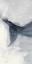 Picture of BLUE WHALE TRIPTYCH I