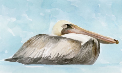 Picture of SOFT BROWN PELICAN I