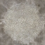 Picture of PARCHED EARTH