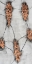 Picture of STATIC CONDUCTOR II