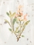 Picture of ANTIQUE EARTHTONE HERBS IV