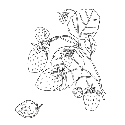Picture of WILD STRAWBERRIES I
