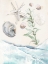 Picture of WASHING ASHORE II
