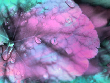 Picture of CELESTIAL DEW DROPS III
