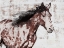 Picture of WINNER HORSE III