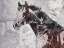 Picture of WINNER HORSE IV