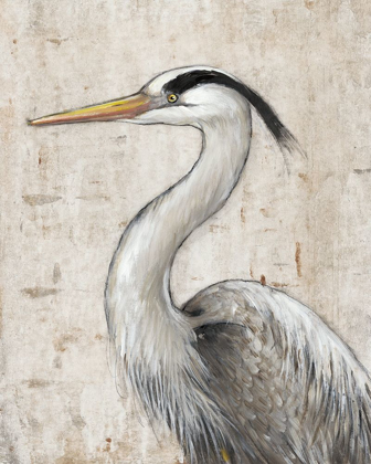 Picture of GREY HERON II