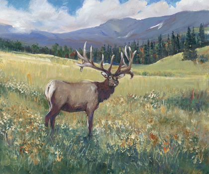 Picture of ROCKY MOUNTAIN ELK I
