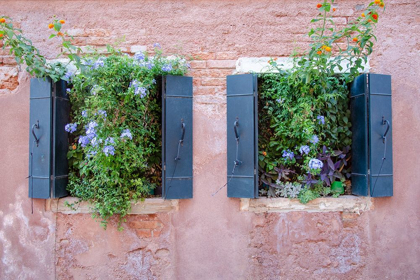Picture of ITALIAN WINDOW FLOWERS II