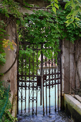 Picture of ELEGANT CANAL ENTRANCE