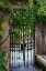 Picture of ELEGANT CANAL ENTRANCE