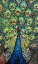 Picture of LAVISH PEACOCK II
