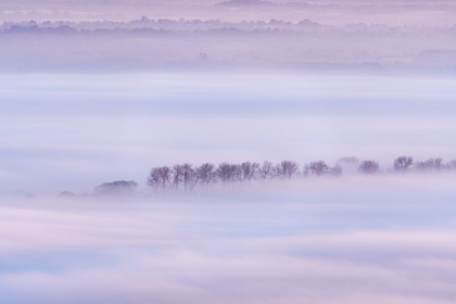 Picture of MIST RIPPLES II