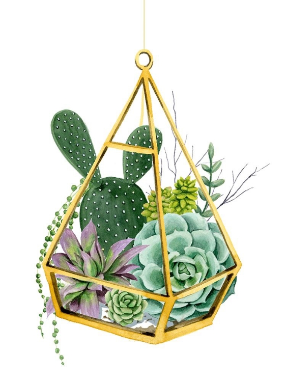 Picture of WILD TERRARIUM I