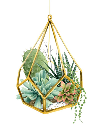 Picture of WILD TERRARIUM II