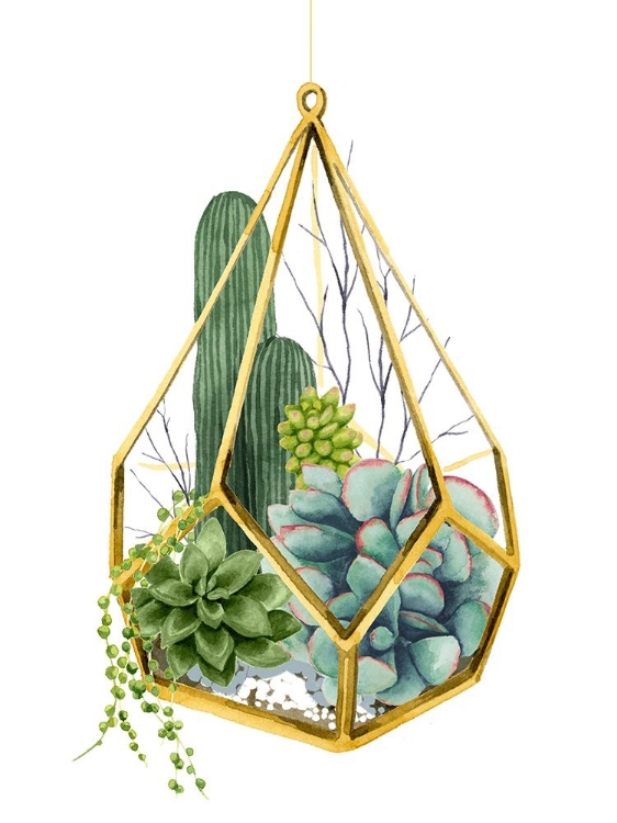 Picture of WILD TERRARIUM IV