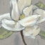 Picture of MAGNOLIA ON GREY