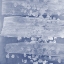 Picture of INDIGO RULE IV