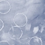 Picture of INDIGO RULE V