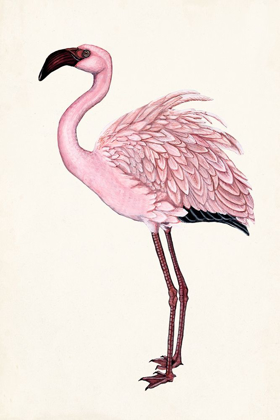 Picture of STRIKING FLAMINGO II