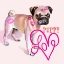 Picture of CUTE COUTURE III
