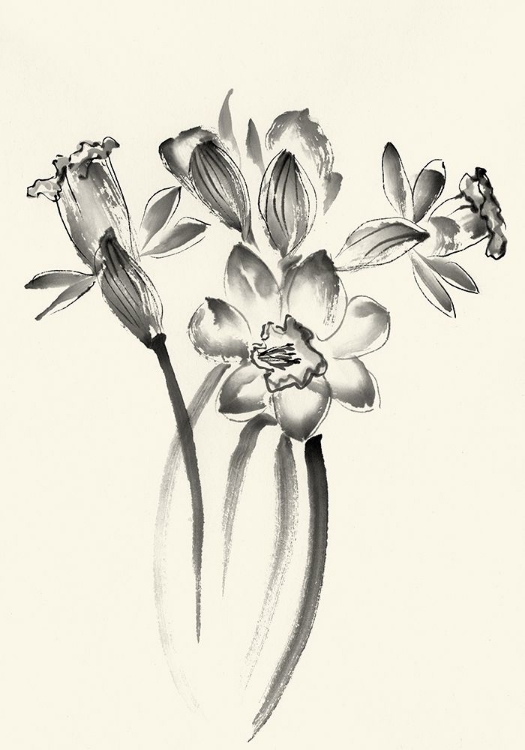 Picture of INK WASH FLORAL I - DAFFODILS