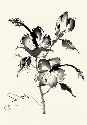 Picture of INK WASH FLORAL III - HIBISCUS