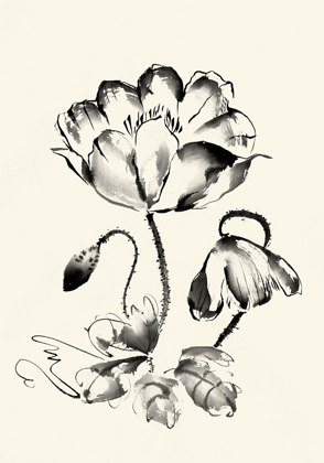 Picture of INK WASH FLORAL IV - POPPY