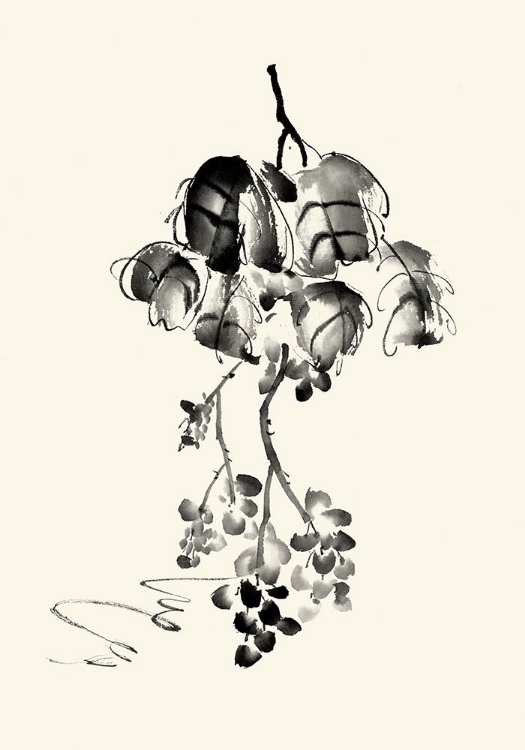 Picture of INK WASH FLORAL V - GRAPES