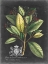 Picture of ROYAL FOLIAGE IV