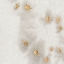 Picture of SPANGLED GREY II