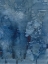 Picture of BLUE RIVER II