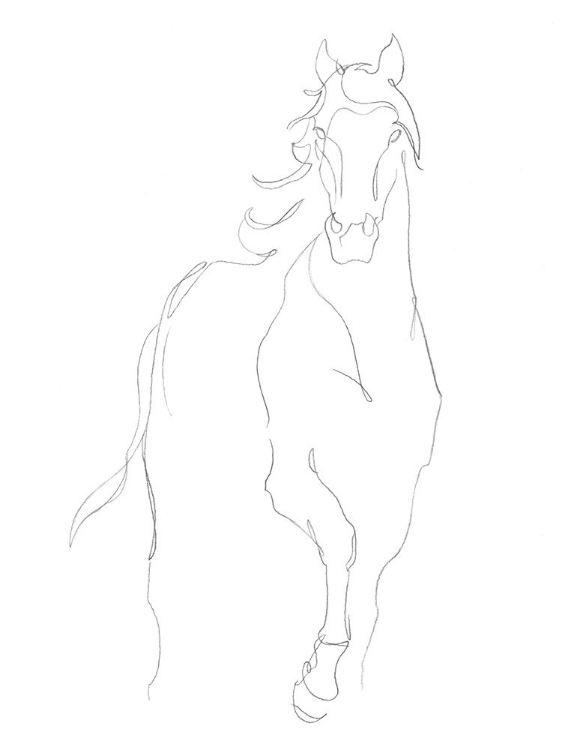 Picture of HORSE CONTOUR I