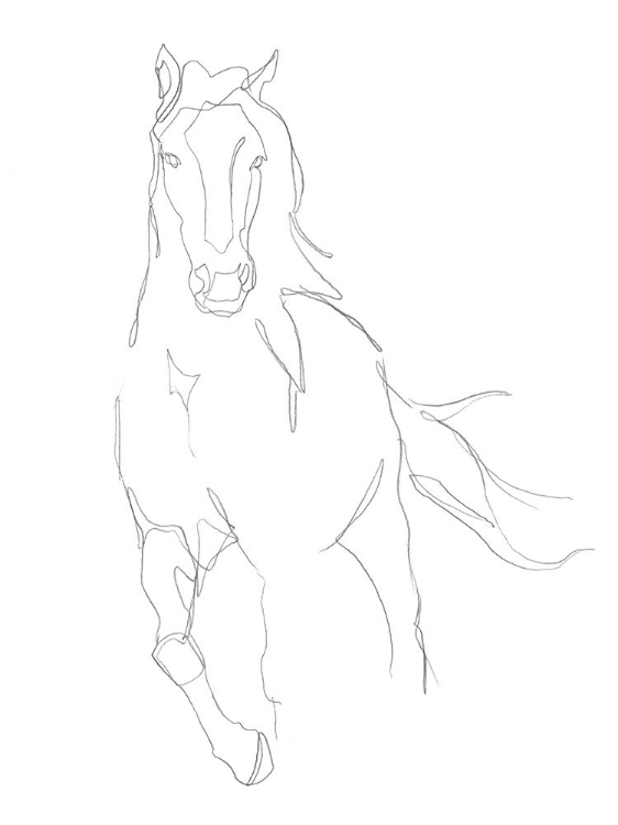 Picture of HORSE CONTOUR II