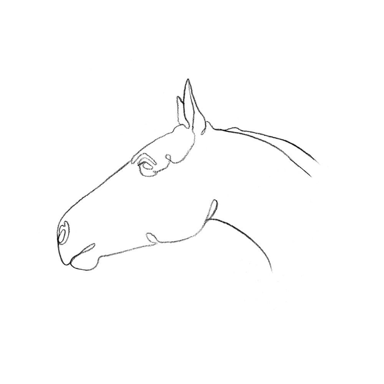 Picture of EQUINE PENCIL CONTOUR I