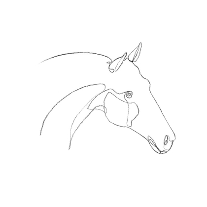 Picture of EQUINE PENCIL CONTOUR II