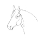 Picture of EQUINE PENCIL CONTOUR III