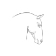 Picture of EQUINE PENCIL CONTOUR IV