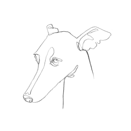 Picture of GREYHOUND PENCIL PORTRAIT I