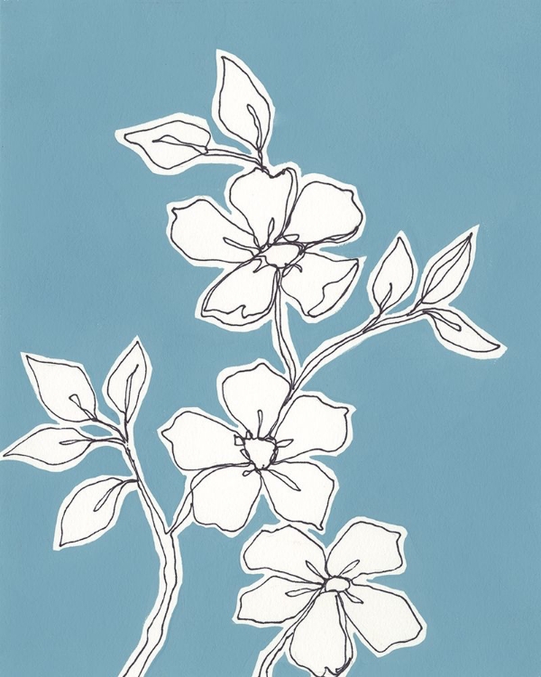 Picture of BOTANIC DRAWING III