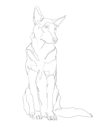 Picture of DOG CONTOUR I