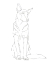 Picture of DOG CONTOUR I