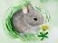Picture of BABY SPRING ANIMALS VI