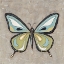 Picture of GRAPHIC SPRING BUTTERFLY I