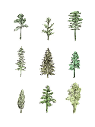 Picture of COLLECTED PINES I