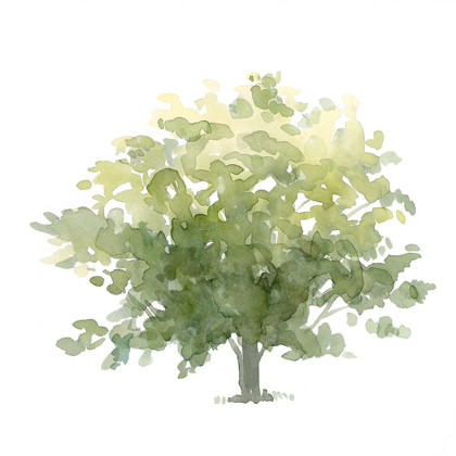 Picture of LONELY OAK I