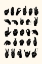Picture of SIGN LANGUAGE I