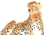 Picture of MAJESTIC CHEETAH I