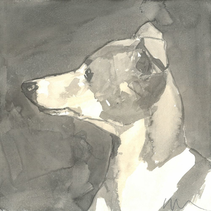 Picture of SEPIA MODERN DOG VII